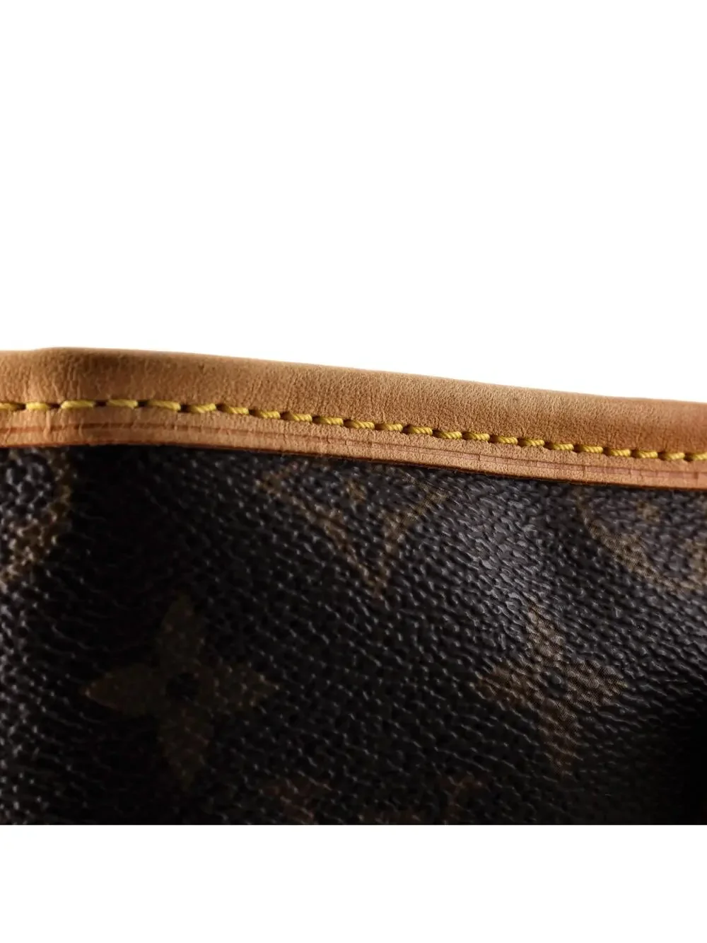 Louis Vuitton Bucket Bag Canvas Gm #300195L11B